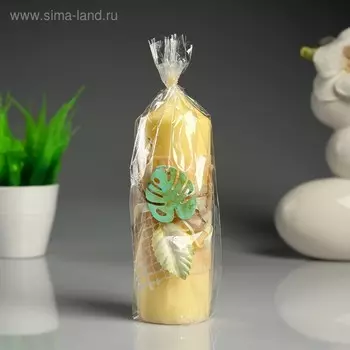 Свеча- цилиндр "Монстера" сливочная, с декором, 5×15,5 см