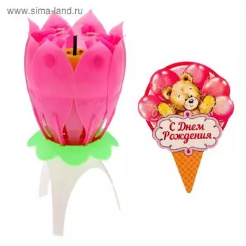 Свеча цветок в торт музыкальная «С Днем Рождения», мишка