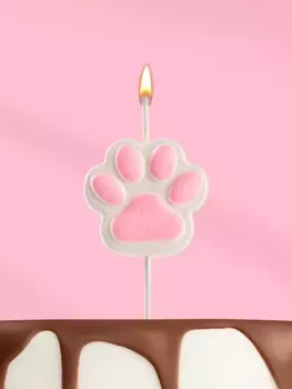 Свеча для торта на шпажке «Лапка - сквиш», бело-розовая