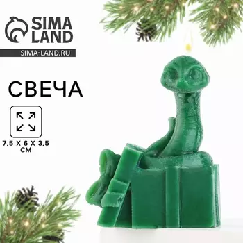 Свеча интерьерная в коробке «Змейка с подарком», зелёная 7.563.5