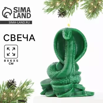 Свеча интерьерная в коробке «Змея на монетках», зелёная 865 см