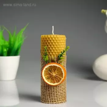 Свеча из вощины "Классика" с апельсином, 5,3×13 см