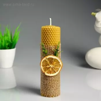 Свеча из вощины "Классика" с апельсином, 5,3×18 см