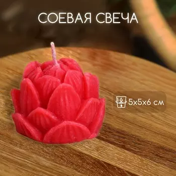 Свеча «Лотос», 556 см, соевый воск