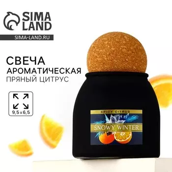 Свеча ароматическая, пряный цитрус, 96.5 см