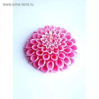 Свеча "Ручная работа" Георгин розовый с белым 9*2,5