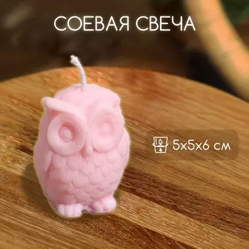 Свеча «Сова», 556 см, соевый воск, МИКС