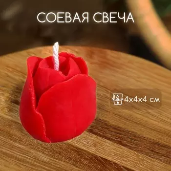 Свеча «Тюльпан», 444 см, соевый воск