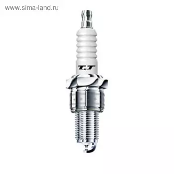 Свеча зажигания DENSO W20TT