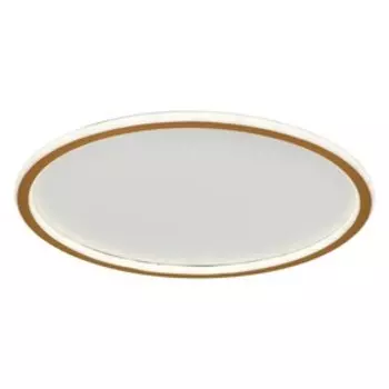 Светильник ЭкономСвет 88008/50GD, LED 1x58Вт 3000-6000K, 3480лм, цвет золото