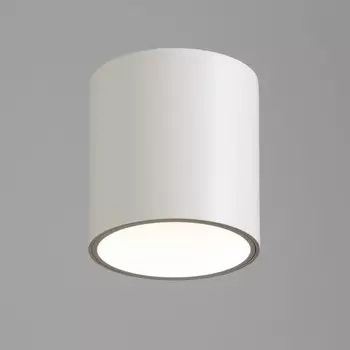 Светильник «Аква» LED 15 Вт 4000К IP65 Ra92 белый 9.59.510 см