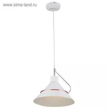 Светильник Amis 1x60Вт E27 белый