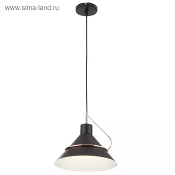 Светильник Amis 1x60Вт E27 чёрный