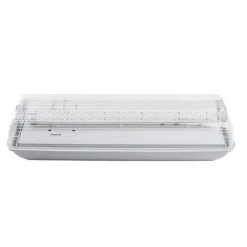 Светильник аварийный Feron EM101, IP65, LED, 2 Вт, 340х110х80 мм, цвет белый