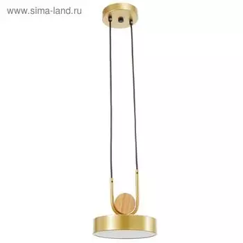 Светильник BayerLux 35425/1 LED 24 Вт 3000-6000К золотой 181820 см