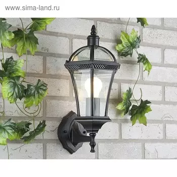 Светильник Elektrostandard садово-парковый, 60 Вт, E27, IP44, настенный, Capella черный