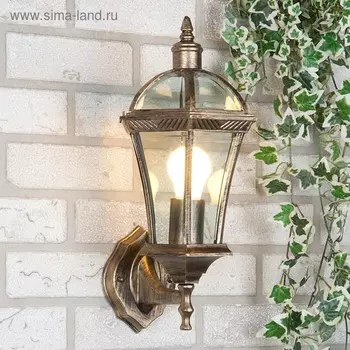 Светильник Elektrostandard садово-парковый, 60Вт, E27, IP44, настен., Capella черное золото