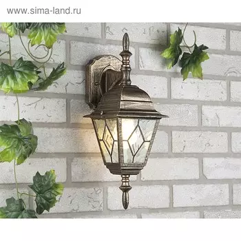 Светильник Elektrostandard садово-парковый, 60Вт, E27, IP44, настенный, Vega D черное золото