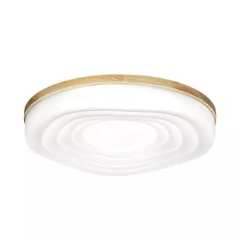 Светильник FASS WOOD LED 48Вт 3000-6000К D388 IP43, с ПДУ