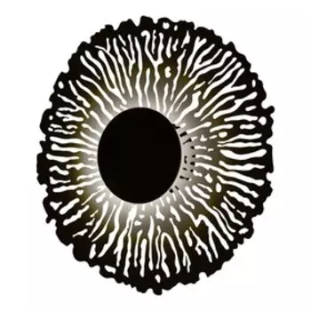 Светильник G62153/1wS BK, LED 1x5Вт 3000K, 425лм, цвет чёрный