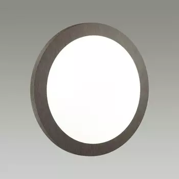 Светильник KAFA LED 48Вт 3000-6300К D390 IP43, с ПДУ