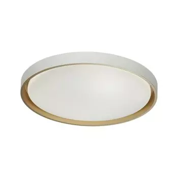 Светильник KISIL LED 70Вт 3000-6000К D520 IP43, с ПДУ
