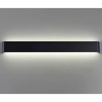 Светильник ландшафтный фасадный ASA IP65 LED 4000K 50Вт