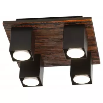 Светильник Luise 3102-304 4 x GU10 50 Вт