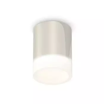 Светильник накладной Ambrella light, XS6305021, MR16 GU5.3 LED 10 Вт, цвет серебро, белый матовый