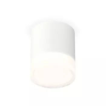 Светильник накладной с акрилом Ambrella light, XS7401043, MR16 GU5.3 LED 10 Вт, цвет белый песок, белый матовый, прозрачный