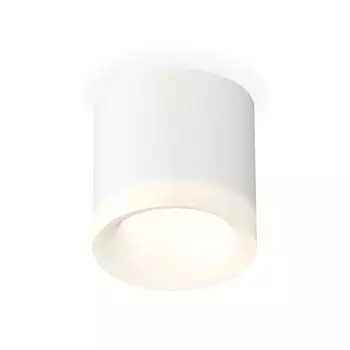 Светильник накладной с акрилом Ambrella light, XS7401044, MR16 GU5.3 LED 10 Вт, цвет белый песок, белый матовый