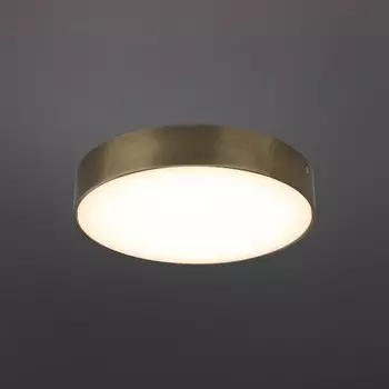 Светильник настенно-потолочный Evon LED 3000K 24Вт