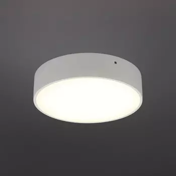 Светильник настенно-потолочный Evon LED 3000K 18Вт