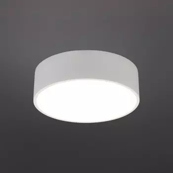 Светильник настенно-потолочный Evon LED 4000K 12Вт