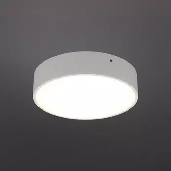 Светильник настенно-потолочный Evon LED 4000K 18Вт