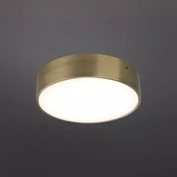 Светильник настенно-потолочный Evon LED 4000K 18Вт