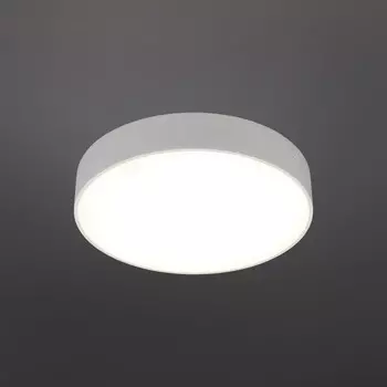 Светильник настенно-потолочный Evon LED 4000K 24Вт