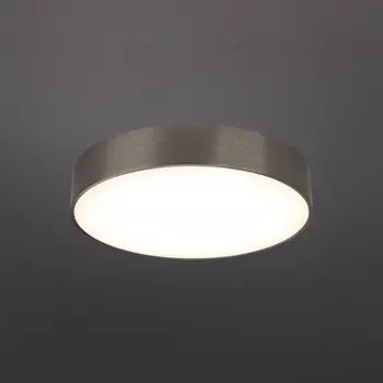 Светильник настенно-потолочный Evon LED 4000K 24Вт