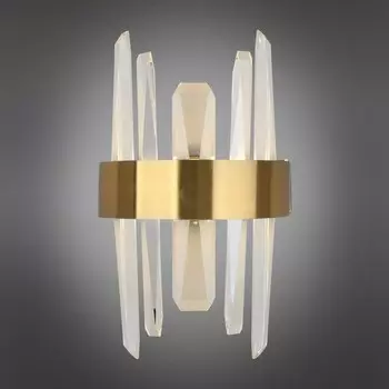 Светильник настенный (бра) Leon LED 3500K-6500K 25Вт