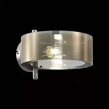 Светильник настенный Evoluce. SL483.701.01. Foresta. 1х40 Вт, E27, 25х18 см, цвет хром