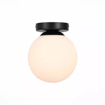 Светильник настенный Evoluce. SL717.401.01. Acini. 1х40 Вт, E27, 18х18х22 см, цвет чёрный