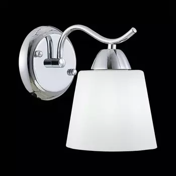 Светильник настенный Evoluce. SLE103901-01. Liada. 1х60 Вт, E27, 14х19 см, цвет хром