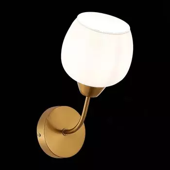 Светильник настенный Evoluce. SLE1136-301-01. Tratti. 1х60 Вт, E27, 13х24 см, цвет латунь