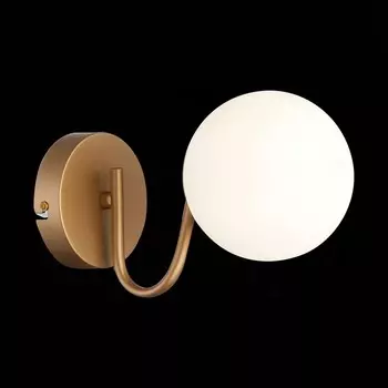 Светильник настенный Evoluce. SLE220601-01. Calabria. 1х40 Вт, E14, 15х14,5 см, цвет золотистый