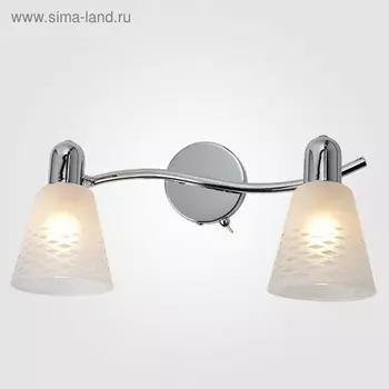 Светильник Organic 2x40Вт E14 хром