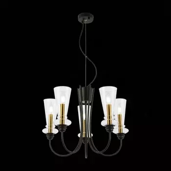 Светильник подвесной Evoluce. SLE112403-05. Rammo. 5х40 Вт, E14, 54х54х44 см, цвет чёрный