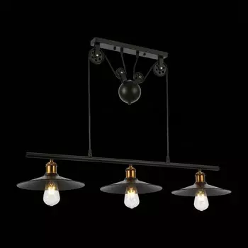 Светильник подвесной Evoluce. SLE120503-03. Esperazza. 3х60 Вт, E27, 96х26 см, цвет чёрный