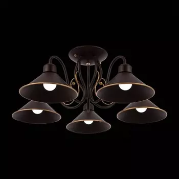 Светильник потолочный Evoluce. SLE120402-05. Ciolla. 5х60 Вт, E27, 66х66х24 см, цвет тёмнокоричневый