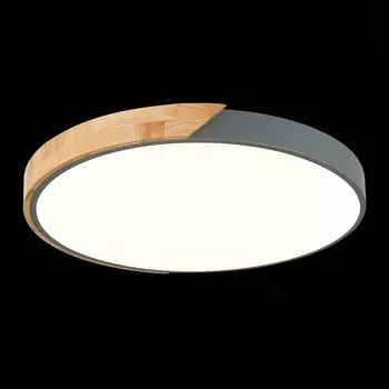 Светильник потолочный Evoluce. SLE200972-01. Festa. 1х45 Вт, LED, 3000K/4000K/6000K, 2700 Lm, 50, 8х50, 8х5 см, цвет серый, светлое дерево