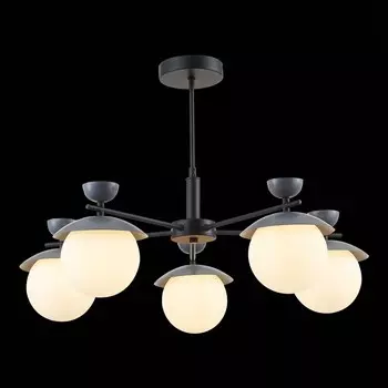 Светильник потолочный Evoluce. SLE220202-05. Genova. 5х5 Вт, G9, 4000K, 67х67х46 см, цвет чёрный, серый